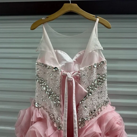 Blush Pink Beaded Ball Gown with Rosette Skirt – Medium Fit - Picture 8 of 16